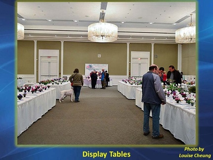 Display Tables