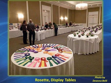 Rosette, Display Tables
