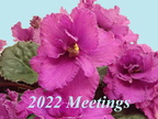 2022 Meetings Album